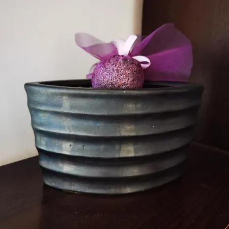 Apartment T-star, 2-bedroom With Magnificent View Split